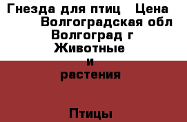 Гнезда для птиц › Цена ­ 100 - Волгоградская обл., Волгоград г. Животные и растения » Птицы   